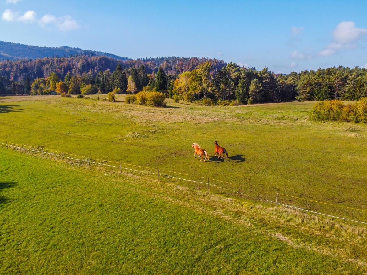 Notranjska Hisa - Traditional Country House, Close To The World Attraction Cerknica Lake Villa Begunje pri Cerknici Exterior photo