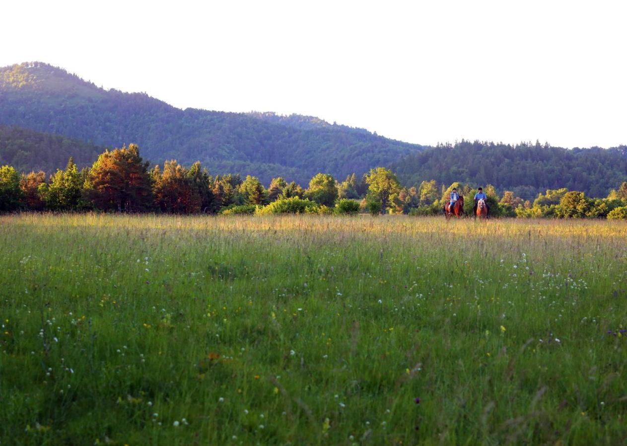 Notranjska Hisa - Traditional Country House, Close To The World Attraction Cerknica Lake Villa Begunje pri Cerknici Exterior photo