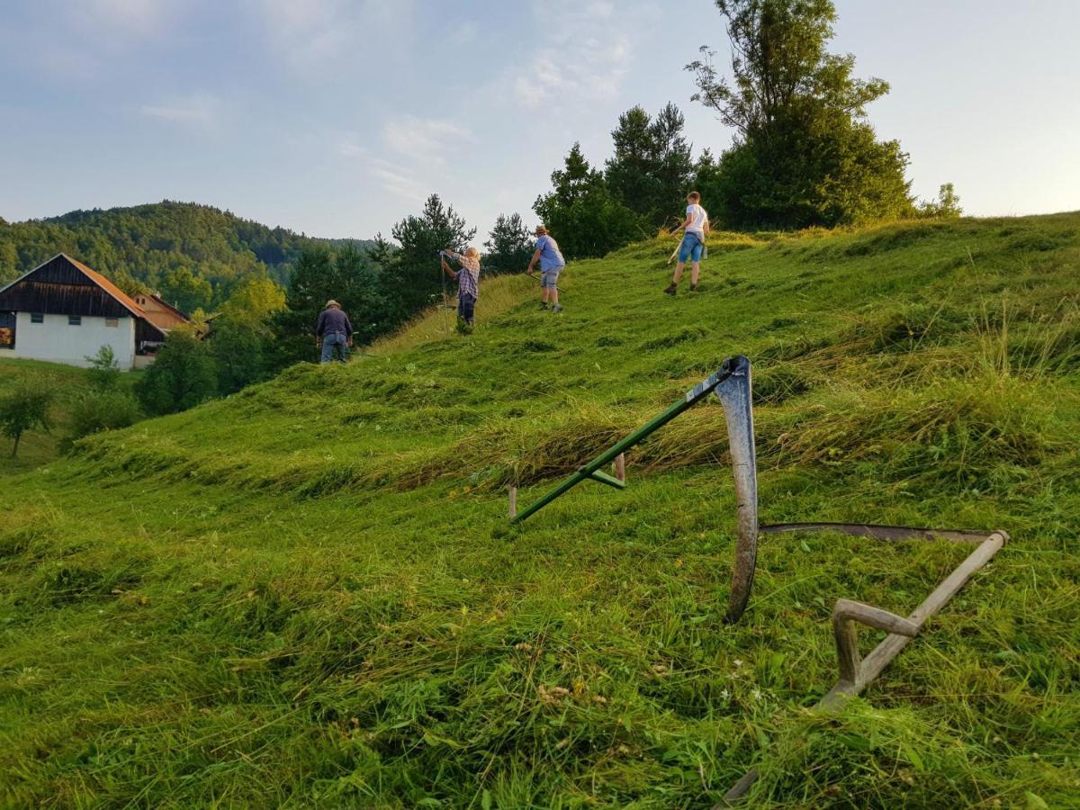 Notranjska Hisa - Traditional Country House, Close To The World Attraction Cerknica Lake Villa Begunje pri Cerknici Exterior photo